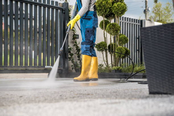 Best Pool Deck Cleaning in Magnolia, NJ